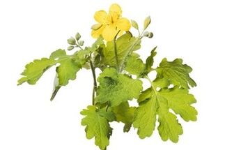 Gelarex contient de la chélidoine